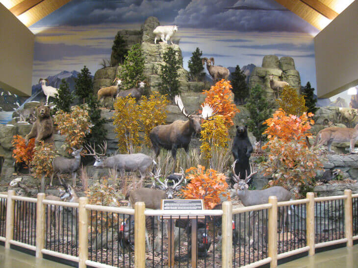 Natural Habitat Trees & Plants at Cabela's Stores TreeScapes & PlantWorks