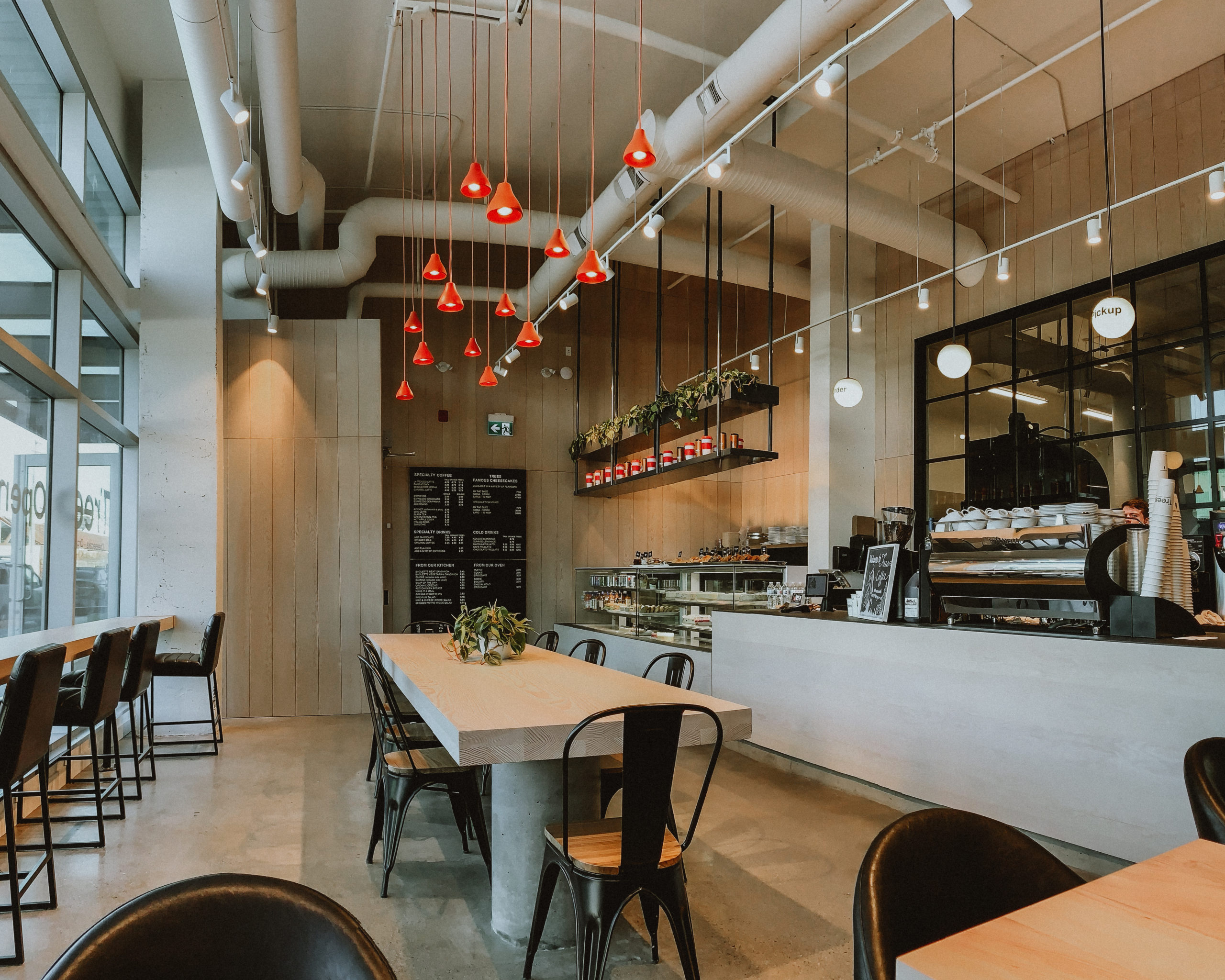 IMG_8836 Trees Cheesecake + Organic Coffee