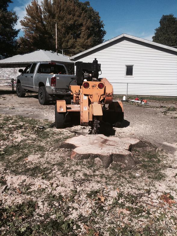 Omaha Stump Removal Tree Services of Omaha Best Prices