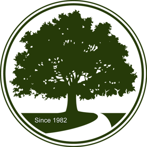 Tree Service Boca Raton, Florida Boca Raton Tree Services