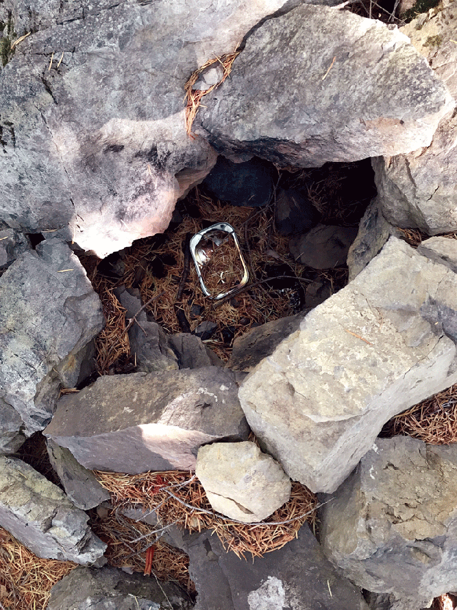 Revisiting the Site of the 2015 Horse Fire Living With Fire in N