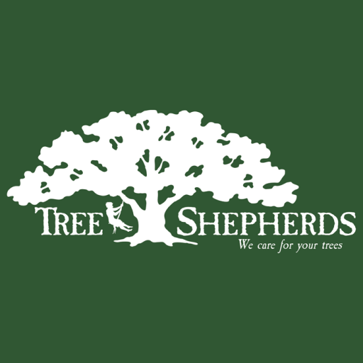 Lee's Tree Service Dallas Tx MySts