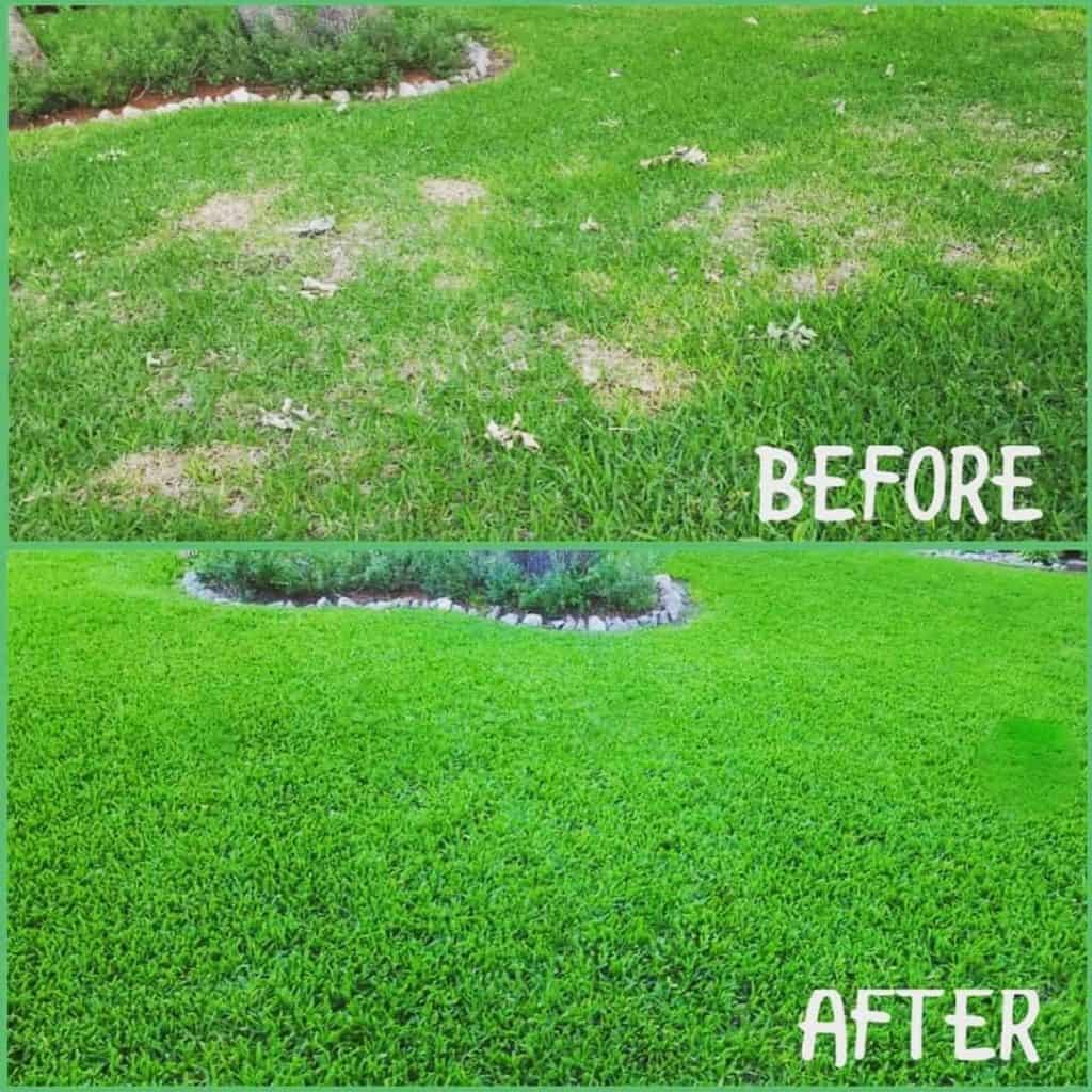 Tree and Lawn Care For Apartments Commercial Landscape Service