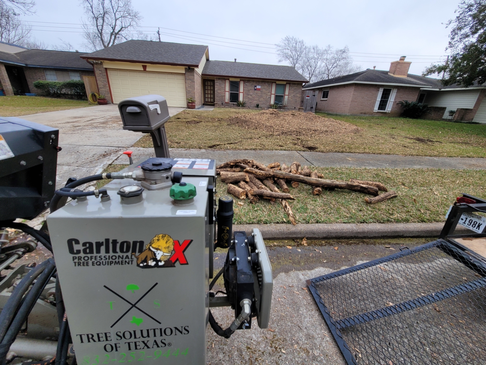 Tree Root Removal Tree Solutions of Texas