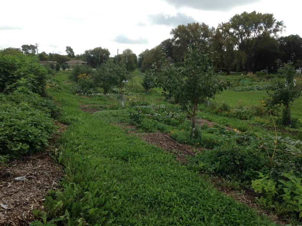 How to Grow an Orchard in the Heart of a City Trees Please Winnipeg