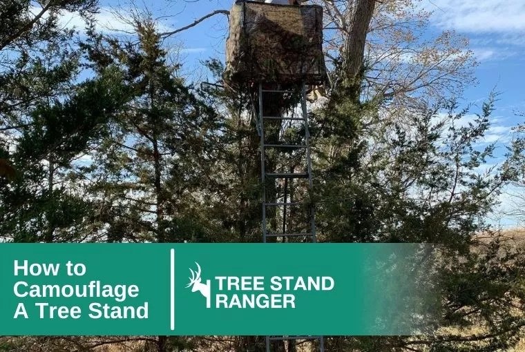 How to Camouflage a Tree Stand A Complete Guide (2024)
