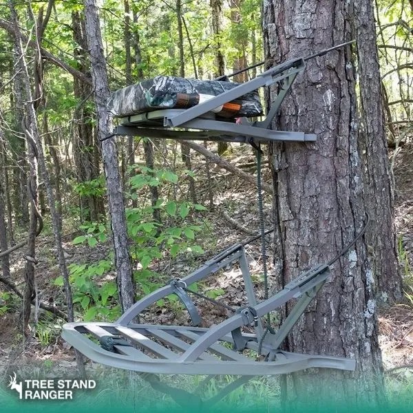 Best Climbing Tree Stand For Bow Hunting Deer Safely (2024)