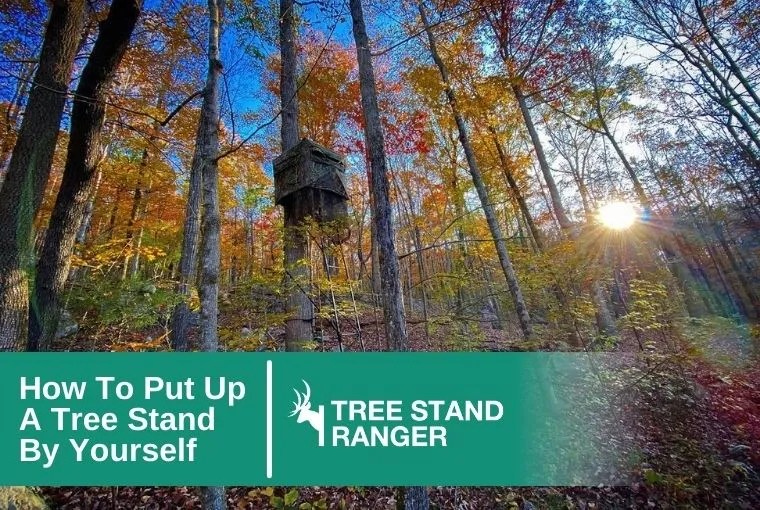 How to Put Up a Tree Stand By Yourself Set Up Guide 2024