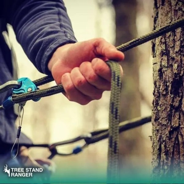 How to Use a Climbing Tree Stand A Complete Guide (2024)