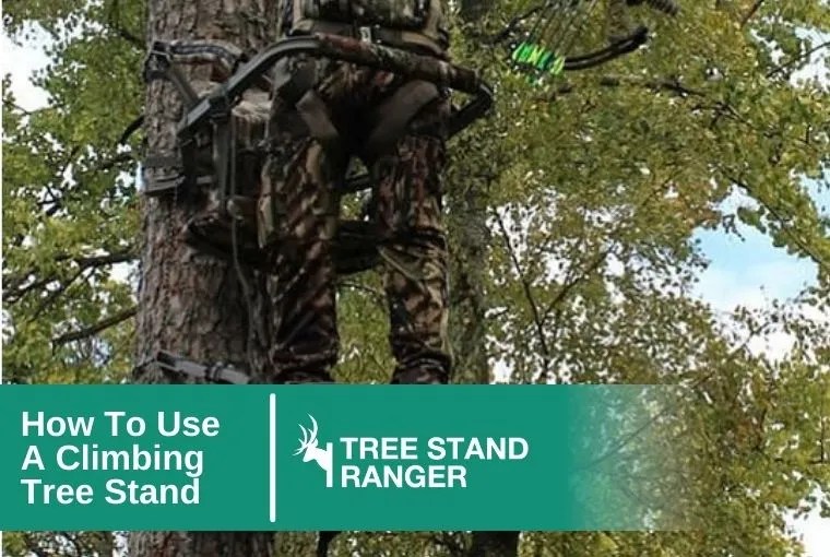 How to Use a Climbing Tree Stand A Complete Guide (2024)