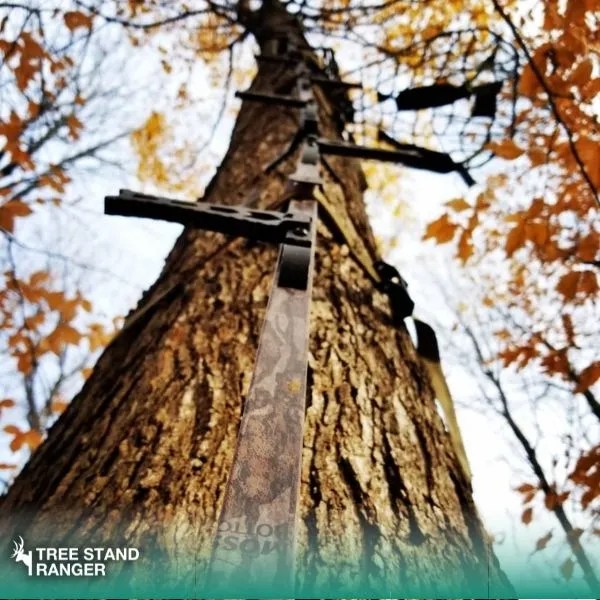 Best Hang On Tree Stand 2024 Lightweight Lock On Tree Stands