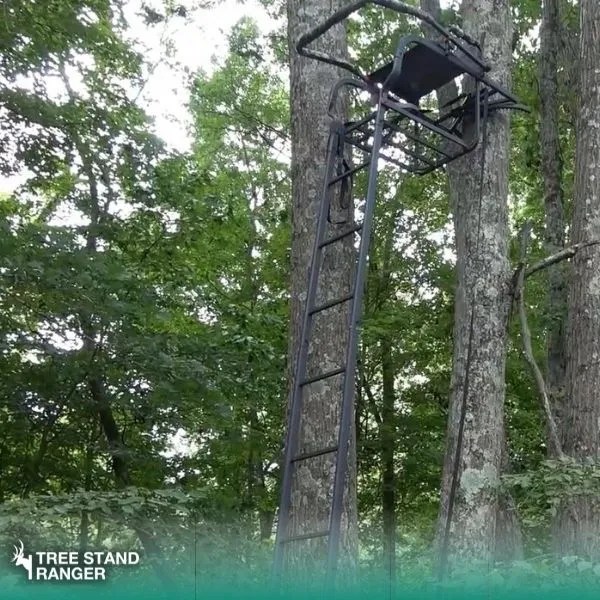 X Stand Duke Ladder Stand v9306.1blu.de