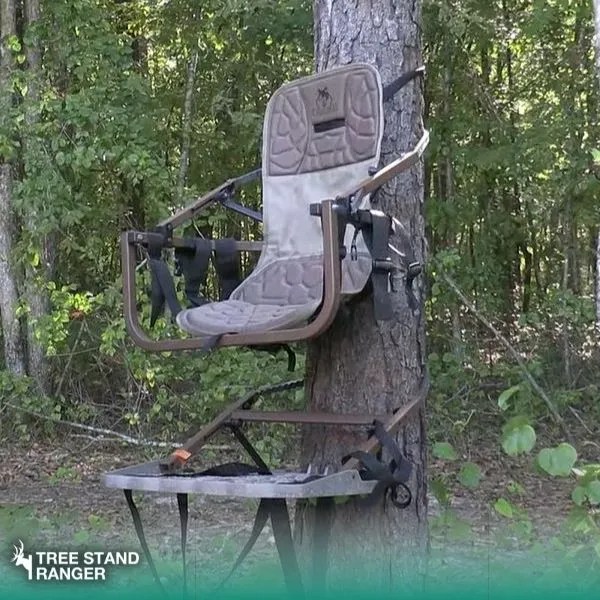 Best Tree Stand for Bow Hunting Deer 2023 Portable, Public Land