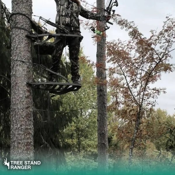 How to Use a Climbing Tree Stand A Complete Guide (2024)