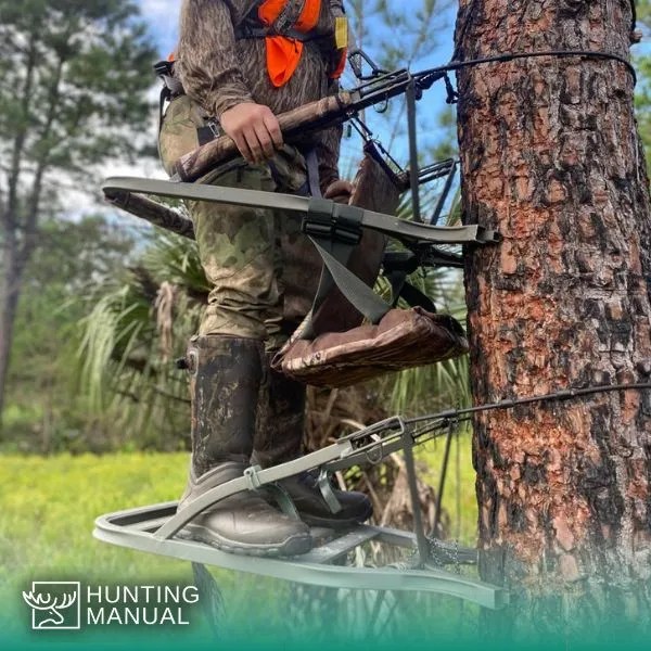 Best Budget Tree Stands 2024 Cheap Deer Stands (100 & 200)