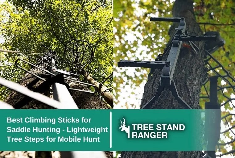 Best Climbing Sticks for Saddle Hunting Lightweight, Mobile Steps