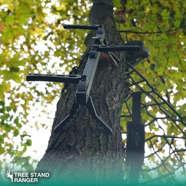 Best Climbing Sticks for Saddle Hunting Lightweight, Mobile Steps