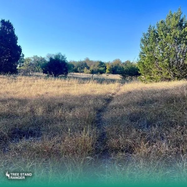 How To Read Deer Trails 2024 Doe and Bucks Habits and Signs