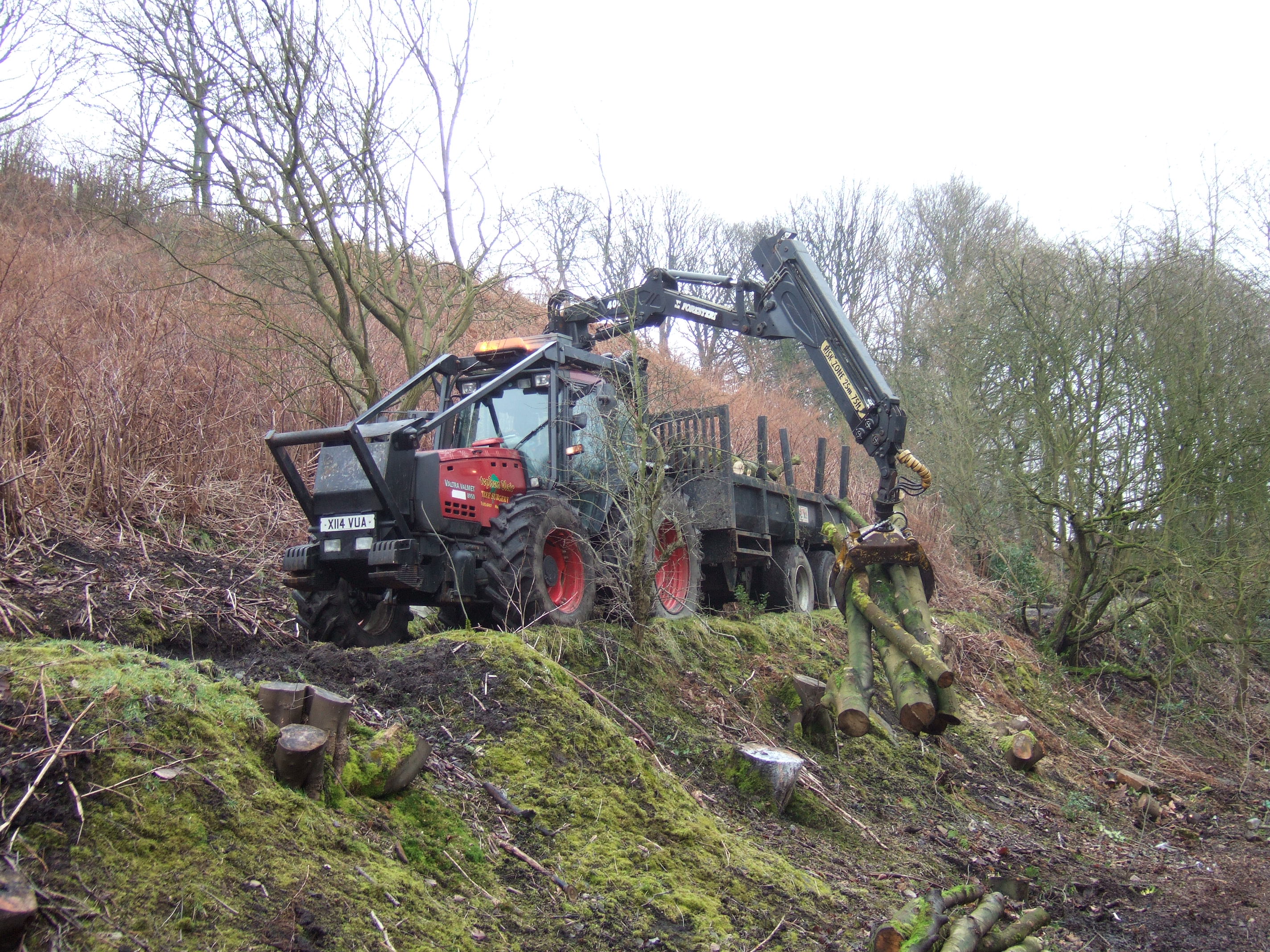 Woodland management ecosensitive and tailored to your needs
