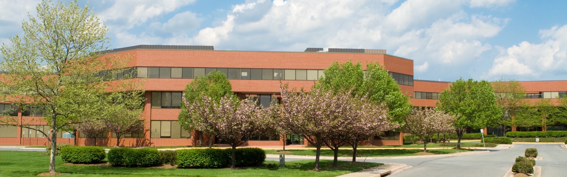 Commercial Tree Service in Wayne NJ Trees Unlimited NJ