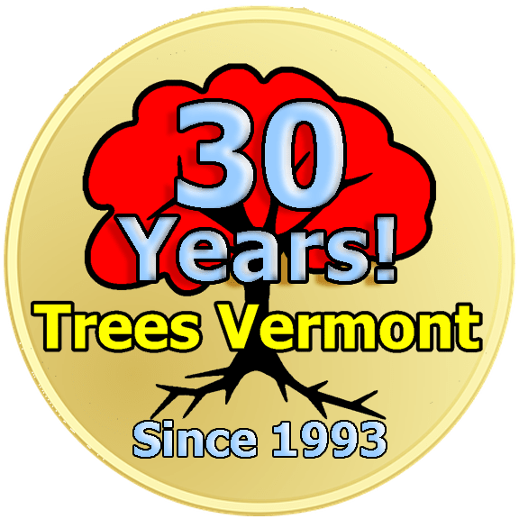 Learn All About Trees Vermont
