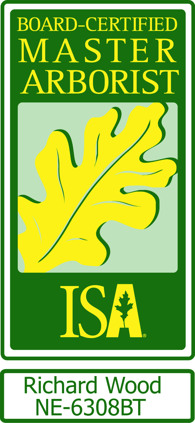 Tree Service Estimates Explained. Trees Vermont