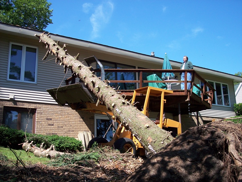 Testimonials TOM'S TREE SERVICE