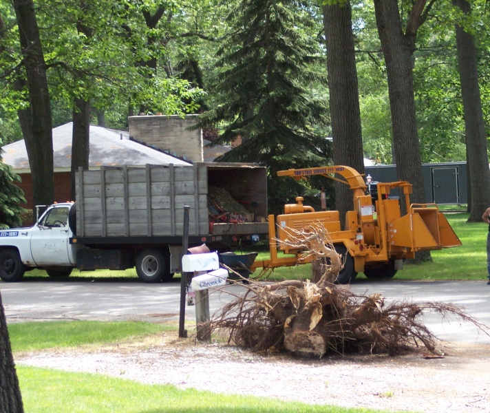 Testimonials TOM'S TREE SERVICE