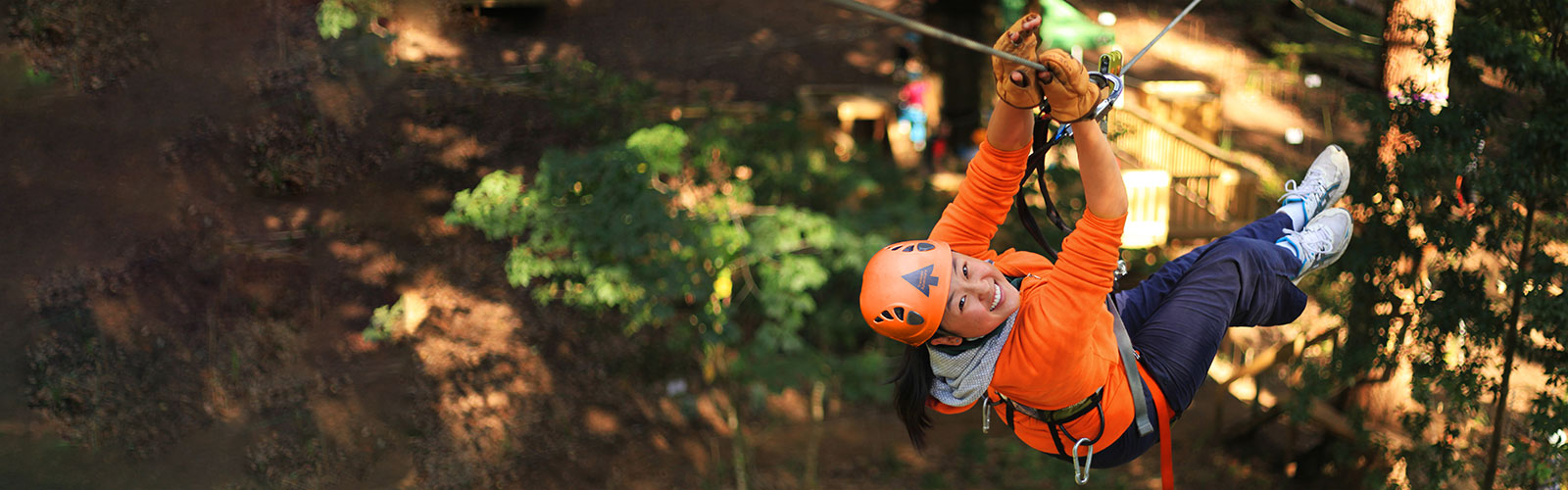 Treetops Adventure Belgrave Melbourne