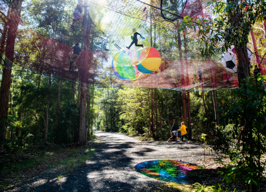 Treetops Adventure Central Coast Wyong Creek