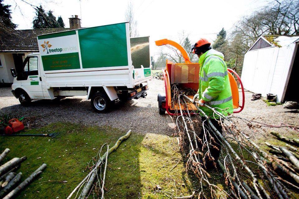 About Us Treetop Services