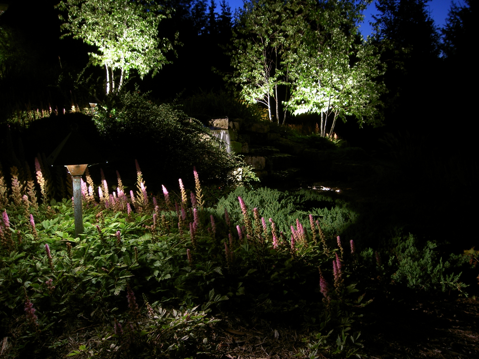 Landscape Lighting Treetops Landscape Design