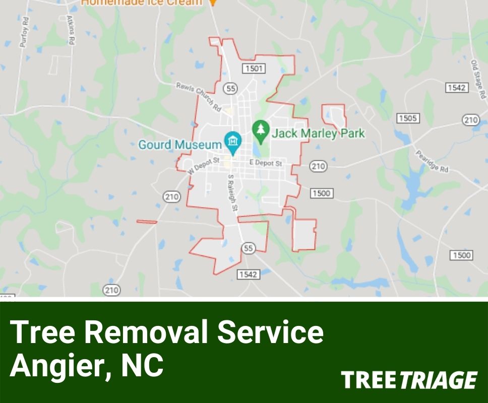 1 Tree Removal Company Angier, NC 2024 Top Rated