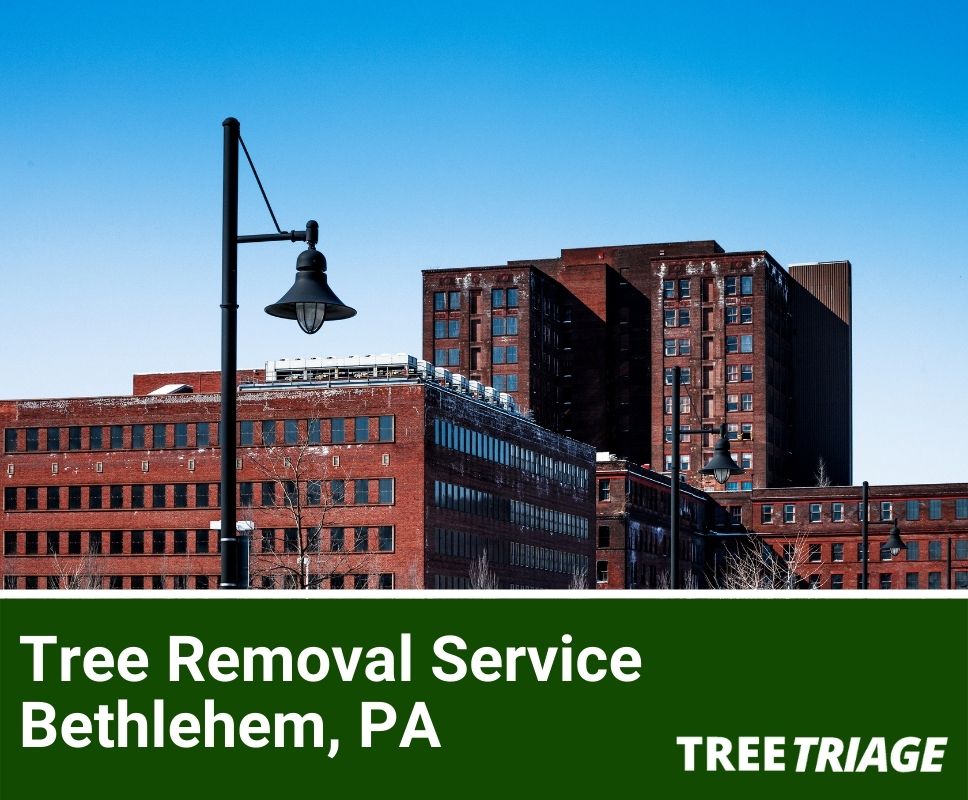 1 Tree Removal Company In Bethlehem, PA 2024 Top Rated