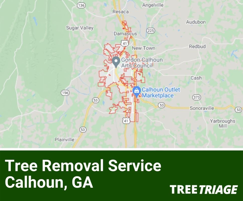 1 Tree Removal Company In Calhoun, GA 2024 Top Rated