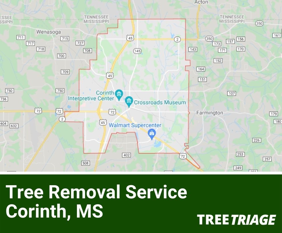 1 Tree Removal Company Corinth, MS 2024 Top Rated