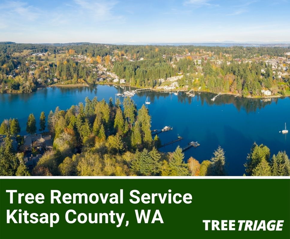 1 Tree Removal Company In Kitsap County, WA 2024 Top Rated