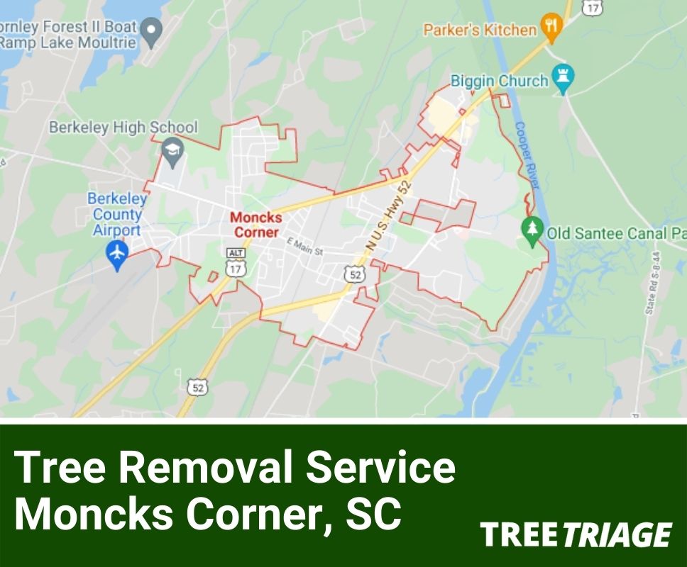 1 Tree Removal Company Moncks Corner, SC 2024 Top Rated