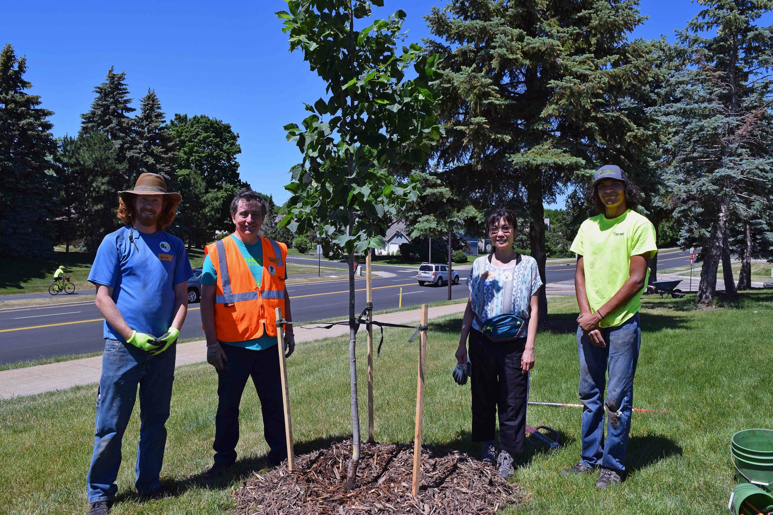 Special Thanks to Our Volunteers Tree Trust