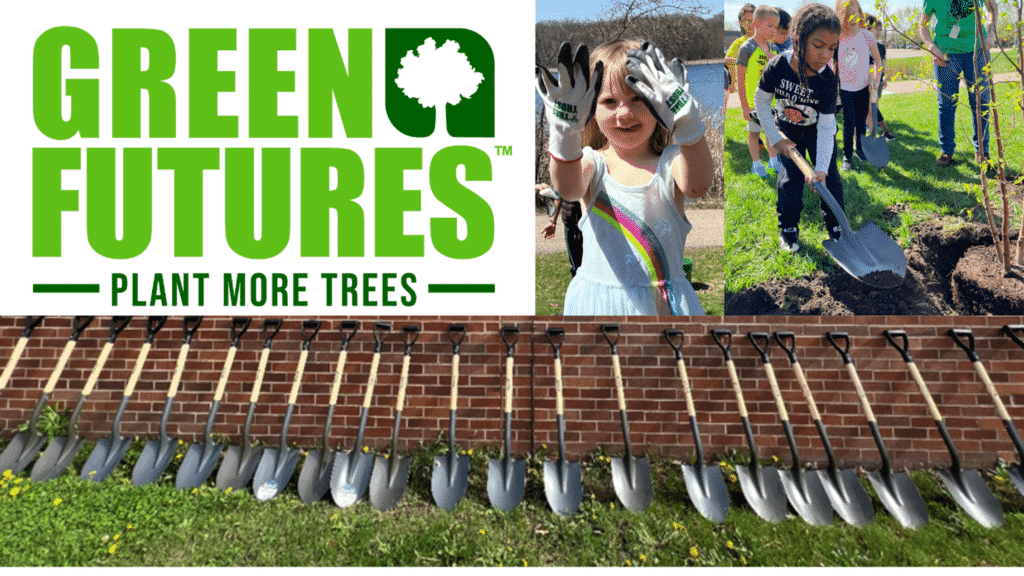 Urban Green Space Planting Trees for a Greener Future Tree Trust