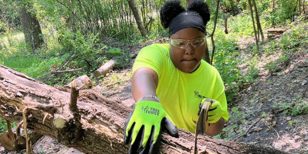 Roots of a Thriving Workforce Tree Trust