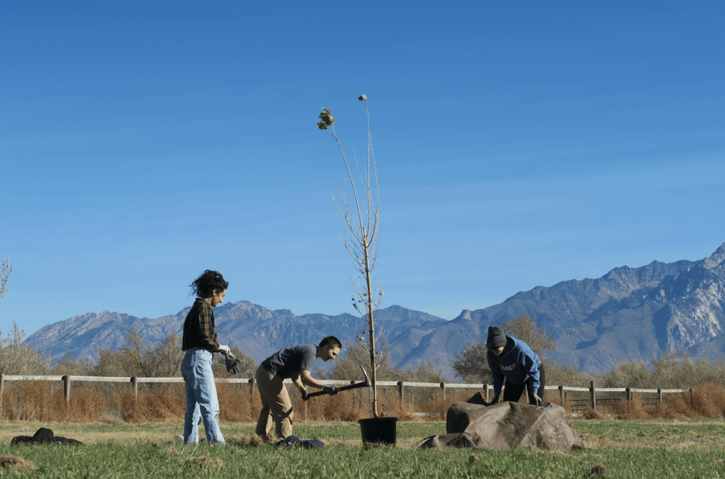 Tree Utah Plant an Orchard on the 9Line Tree Planting
