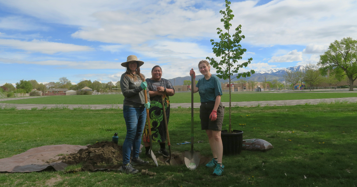 Tree Utah Planting & Tree Maintenance and Glendale Middle Tree Planting