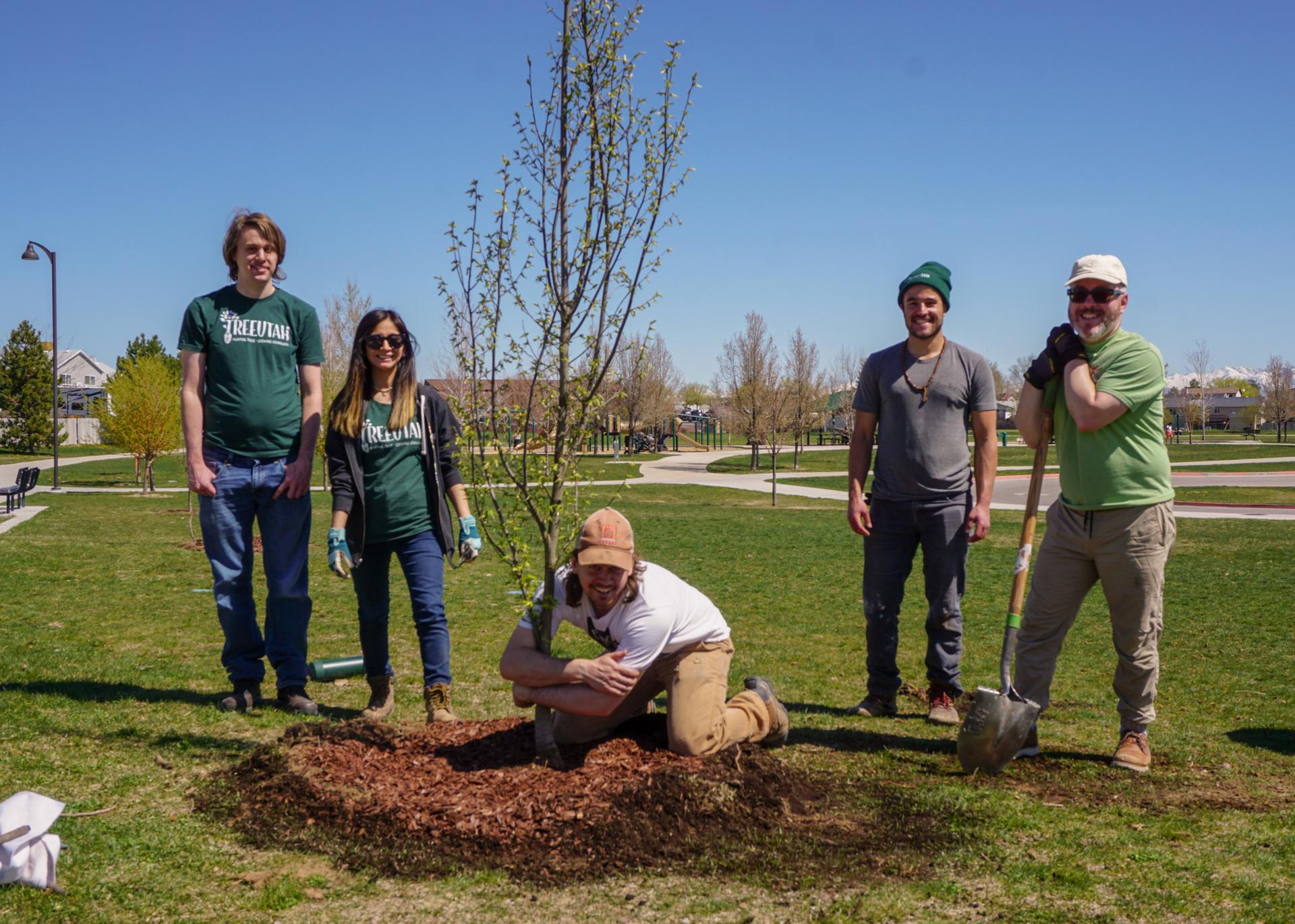Tree Utah Plant Trees at Centennial Park in West Tree Planting