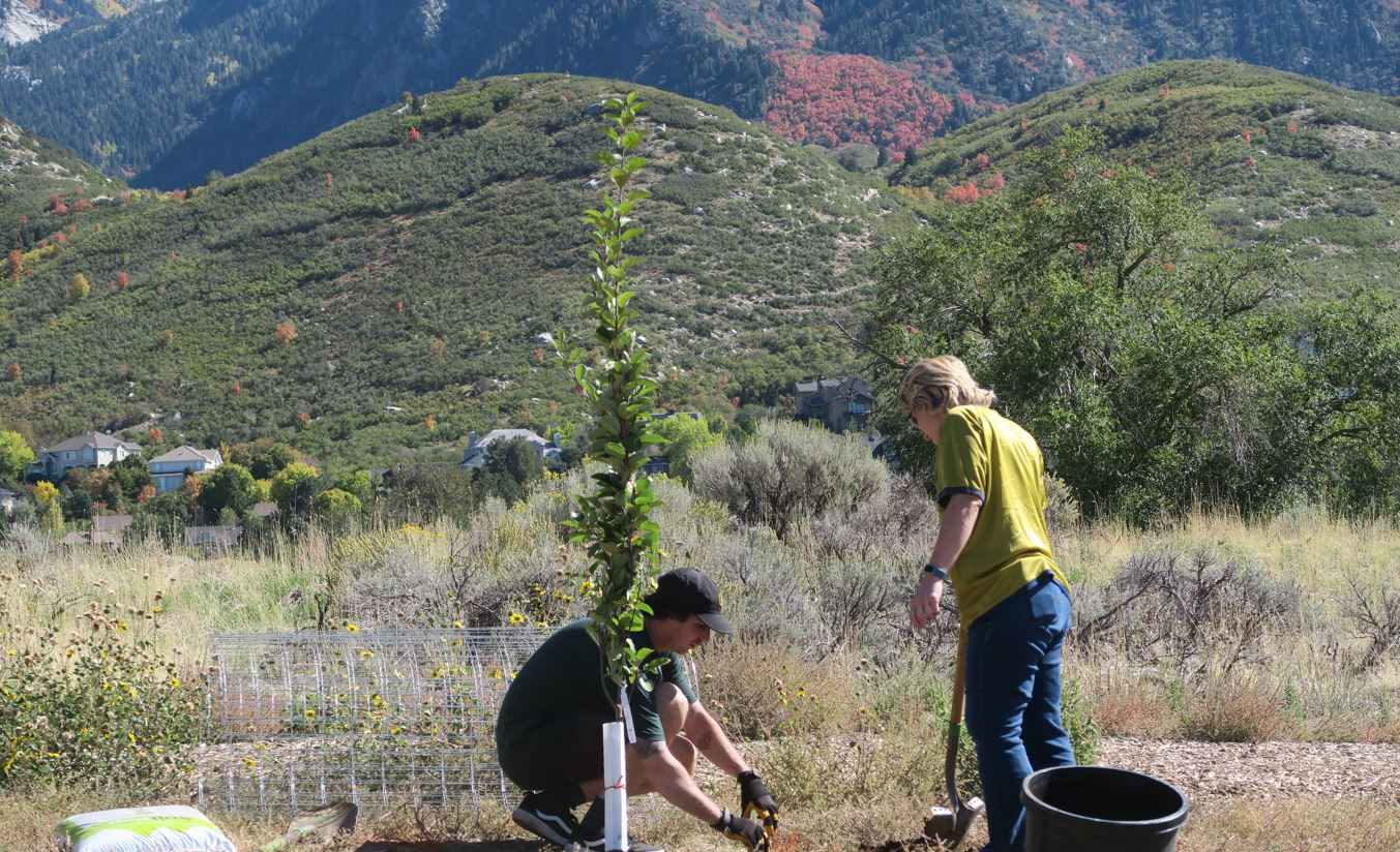 Tree Utah Tree Planting at the Ogden Nature Tree Planting