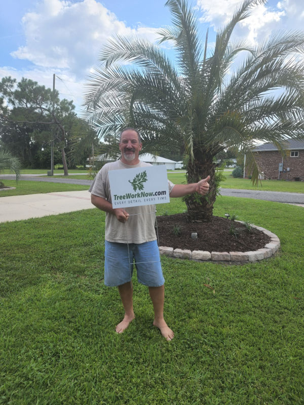 Tree Service Orlando Daytona Beach Stump Grinding Seminole County