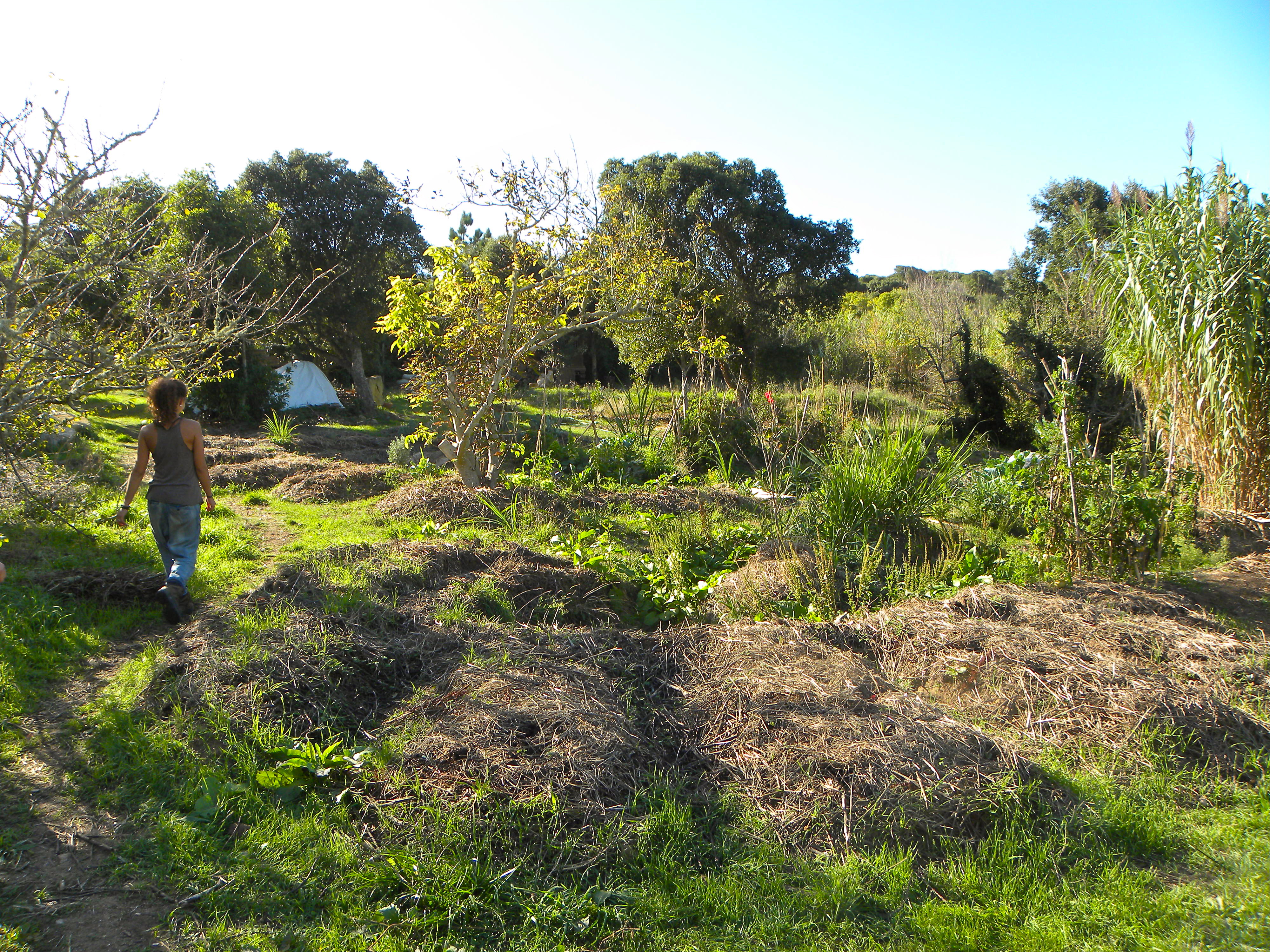 Edge Effect A Permaculture Design Course Handbook