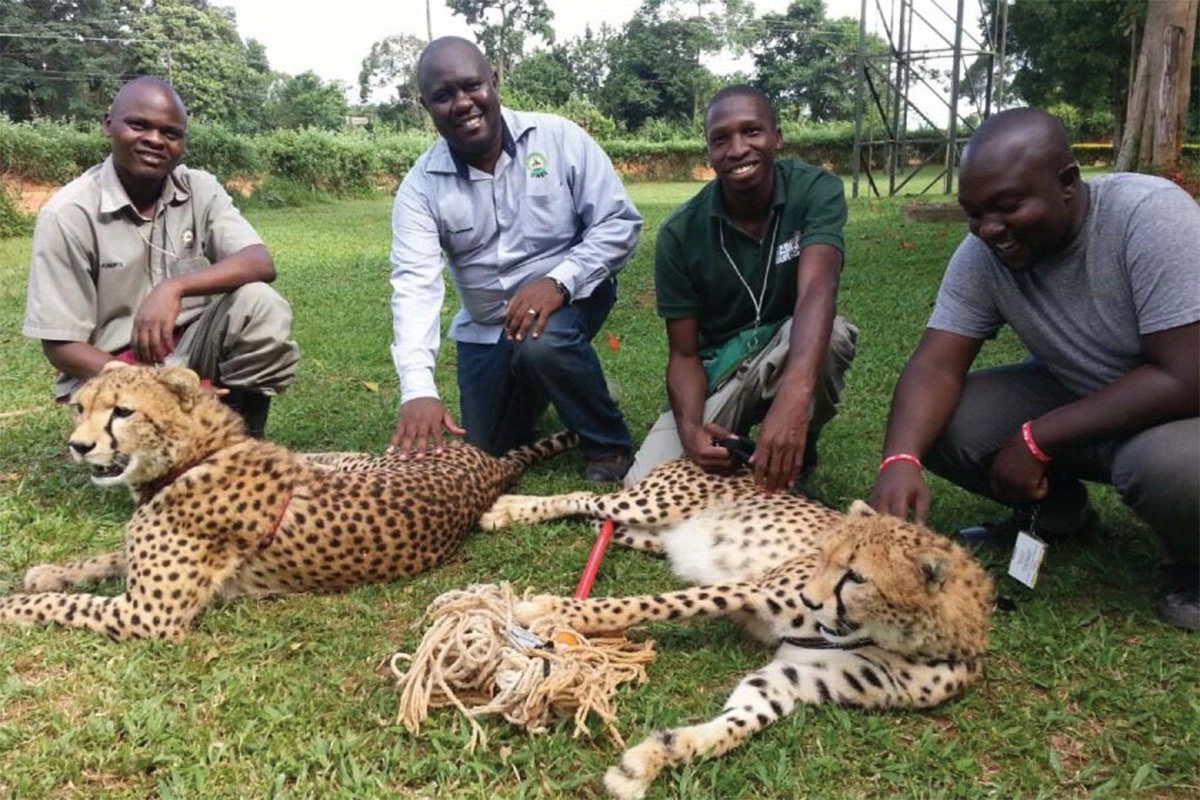 Animal Keeper Program for a day » Trek Africa Expeditions