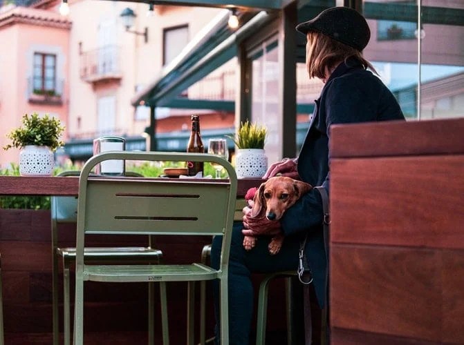 6 Most Dog Friendly Restaurants in America Trekbible