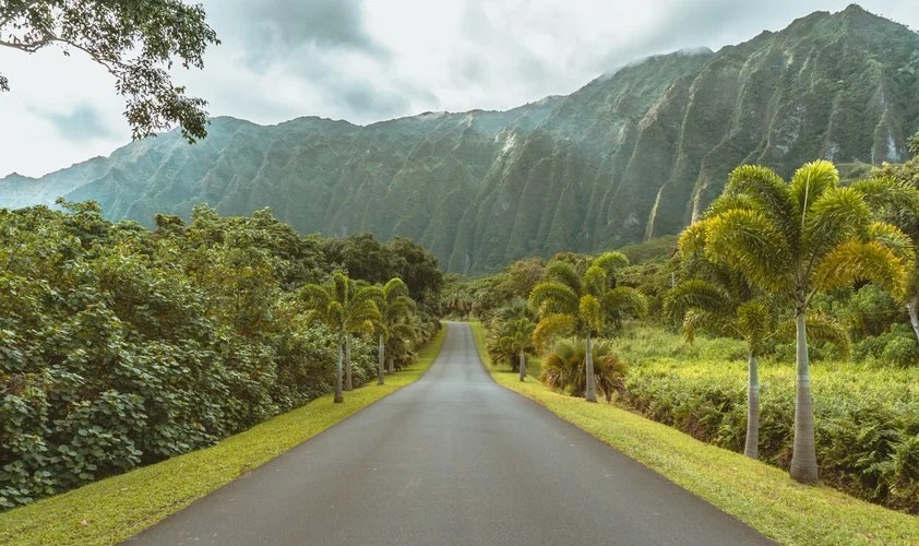 Your Best Time to Visit Hawaii Trekbible